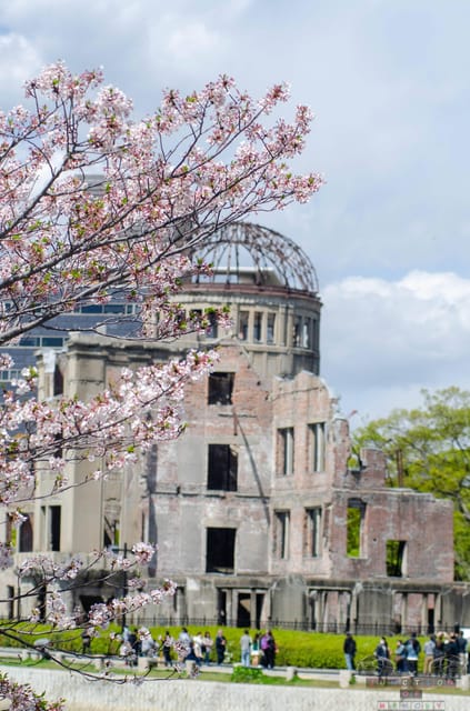 Amazing Hiroshima: Private City Tour with a Local Guide - Why this Hiroshima tour works well