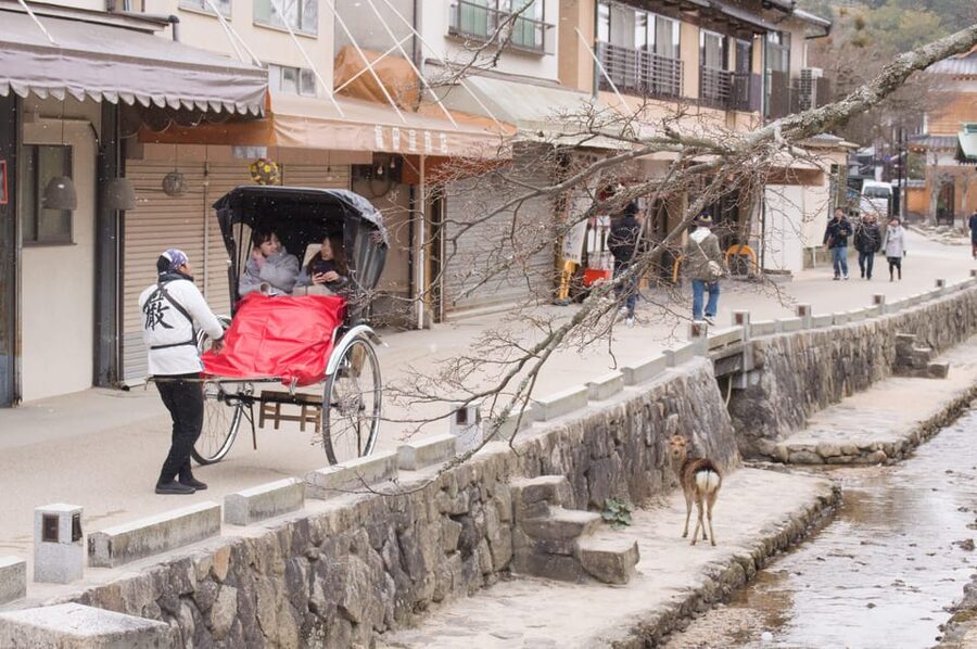 Amazing Hiroshima: Private City Tour with a Local Guide - Daisho-in Temple and Mount Misen options