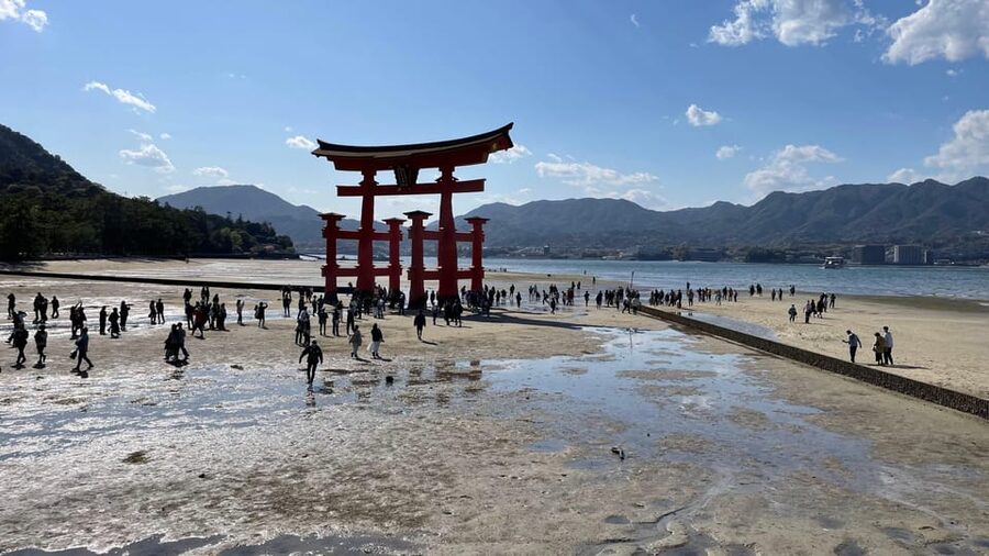 Amazing Hiroshima: Private City Tour with a Local Guide - Guide quality and the private-tour advantage