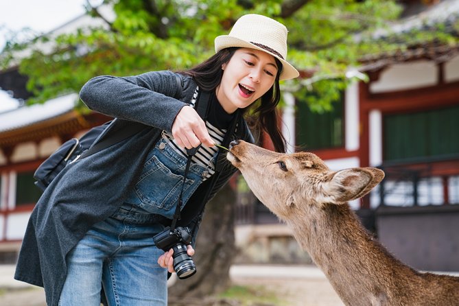 Ancient Capital Tour: Kyoto and Nara Highlights from Kyoto/Osaka - Key points to know before booking