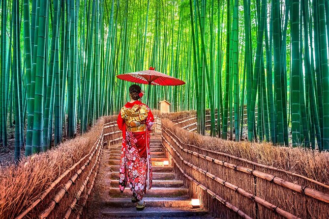 Ancient Capital Tour: Kyoto and Nara Highlights from Kyoto/Osaka - The bus makes a complicated day easier