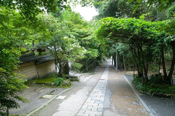 Arashiyama Bamboo Forest E-Biking Tour - Why an e-bike makes this Kyoto route work