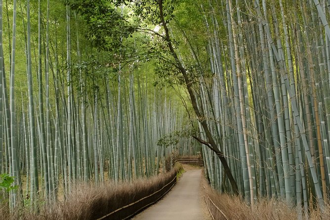 Arashiyama Bamboo Forest E-Biking Tour - Toji-in Temple and a quieter moss-filled pause