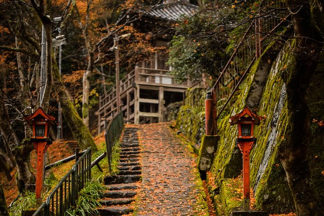 Arashiyama Bamboo Forest E-Biking Tour - The Arashiyama Bamboo Forest in a crowded 30 minutes