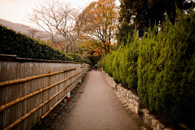 Arashiyama Bamboo Forest E-Biking Tour - Who should book this ride