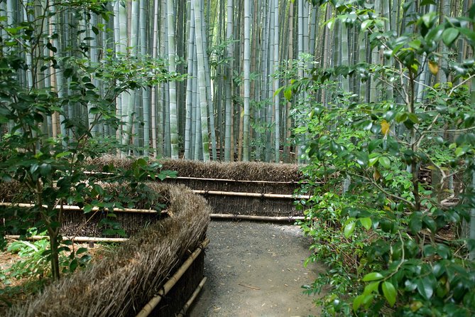 Arashiyama Bamboo Forest E-Biking Tour - Starting at NORU Kyoto Bike Tours at 1 p.m.