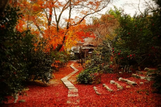 Arashiyama Bamboo Forest & Hidden Gems Bike Tour (Early Bird) - Two hours through Arashiyama’s quieter side