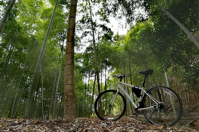 Arashiyama Bamboo Forest & Hidden Gems Bike Tour (Early Bird) - Who should book this Arashiyama bike tour?