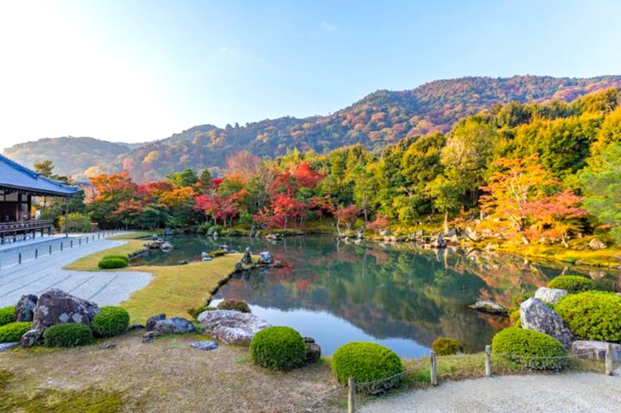 Arashiyama Bamboo, Temple, Monkeys, or Secret Sake Brewery - Option A or Option B: choose your preferred ending