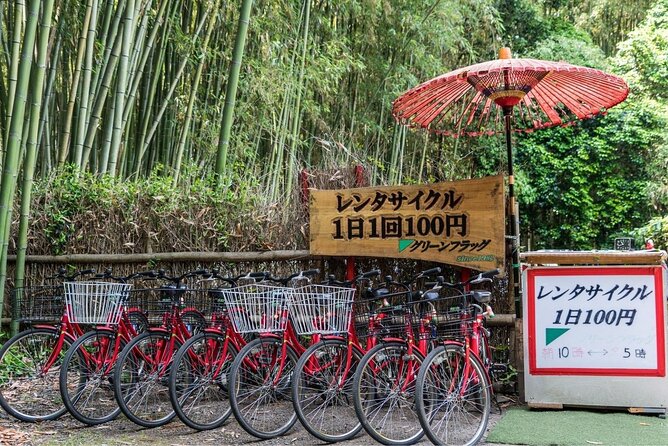 Arashiyama from Kyoto: Private & Personalized with a Local Guide - Okochi Sanso Villa, a quieter garden stop