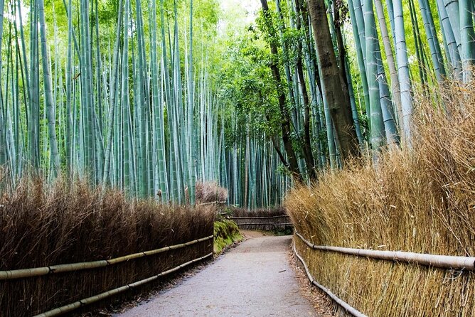 Arashiyama from Kyoto: Private & Personalized with a Local Guide - Jojakko-ji and the view from Ogura Mountain