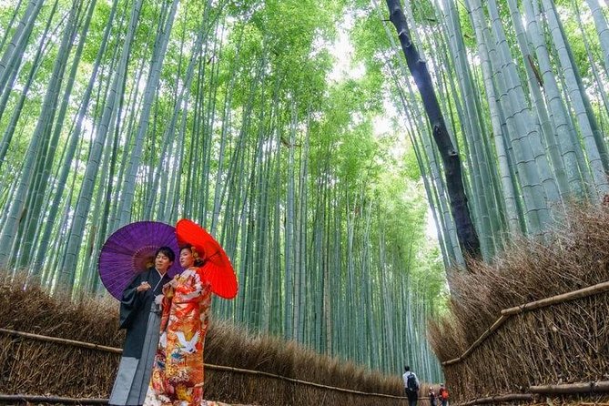 Arashiyama from Kyoto: Private & Personalized with a Local Guide - Bamboo Grove and Arashiyama’s quieter lanes