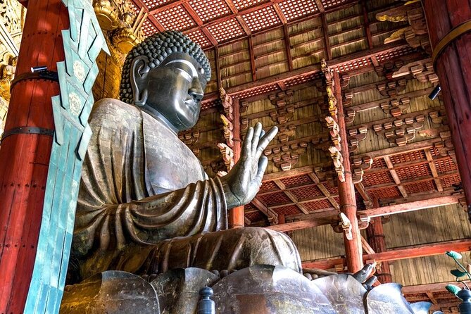 Arashiyama & Nara Highlights: One-Day Private Tour Adventure - What this private Kyoto day is trying to do