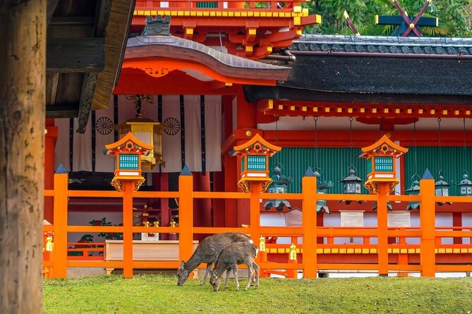 Arashiyama & Nara Highlights: One-Day Private Tour Adventure - The transfer to Nara, where the day changes pace