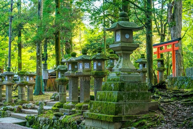 Arashiyama & Nara Highlights: One-Day Private Tour Adventure - Nara Park and its freely roaming deer