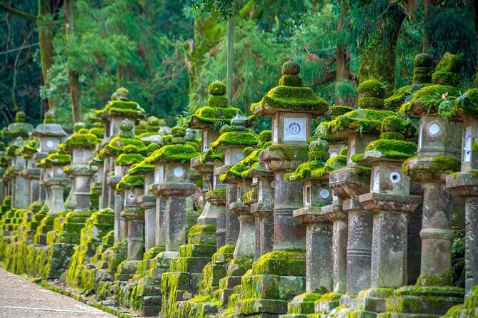 Arashiyama & Nara Highlights: One-Day Private Tour Adventure - Kasuga Grand Shrine and its rows of lanterns