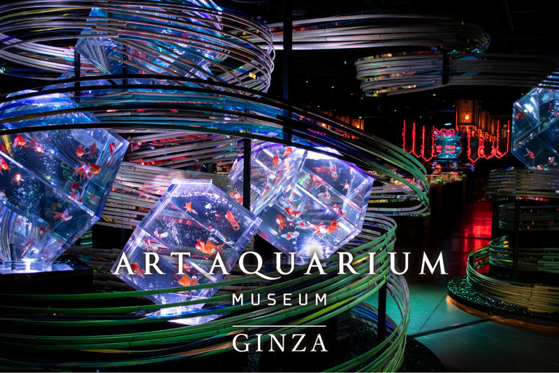 Art Aquarium Museum GINZA Ticket - Goldfish as the artwork
