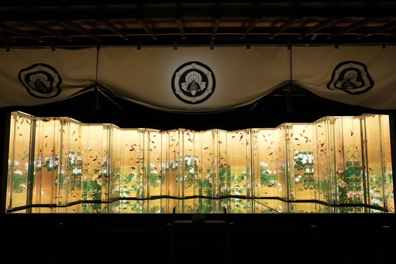 Art Aquarium Museum GINZA Ticket - Following the rooms, one display at a time