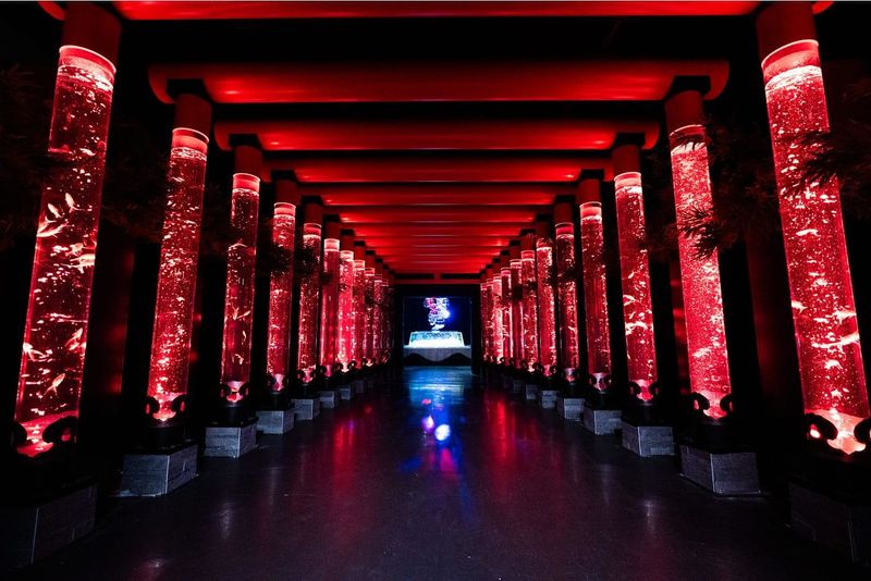 Art Aquarium Museum GINZA Ticket - Booking and timing without fuss