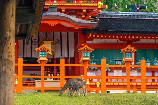 Authentic Kyoto Gion Geisha/Maiko Cultural Experience - Practical Details Before You Go