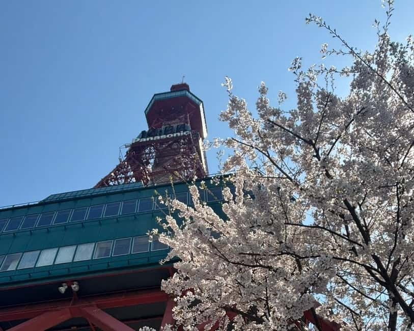 Authentic Sapporo: Nijo Market Seafood Lunch & History Tour - Following the Sosei River into older Sapporo