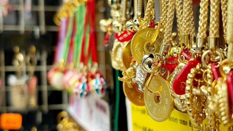 Awesome Private Tour: Tsukiji, Asakusa, Shinjuku, Shibuya - Key details before you book