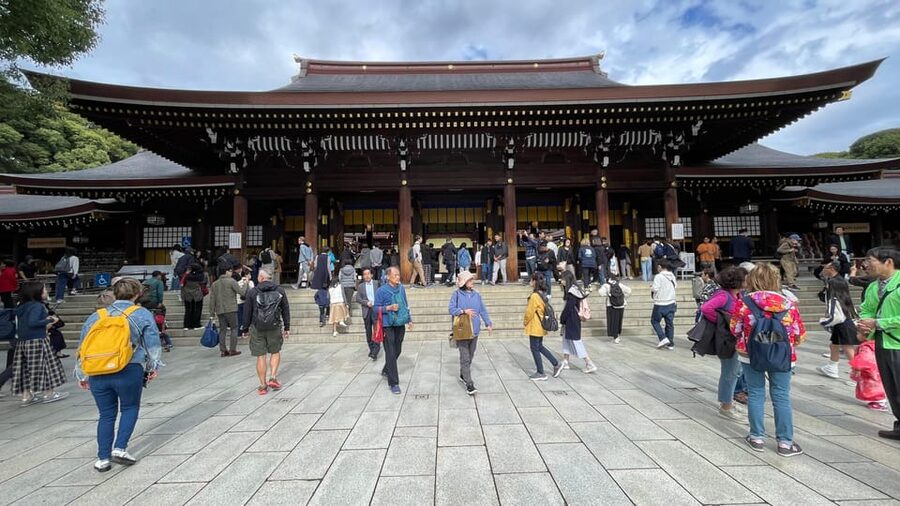 Awesome Private Tour: Tsukiji, Asakusa, Shinjuku, Shibuya - Yanaka and Kichijoji offer a calmer alternative