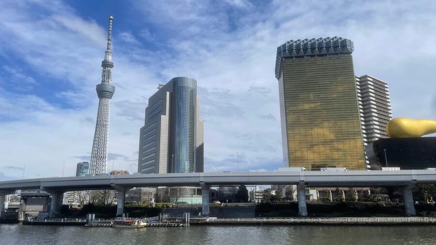Awesome Private Tour: Tsukiji, Asakusa, Shinjuku, Shibuya - A private Tokyo day with room to change course