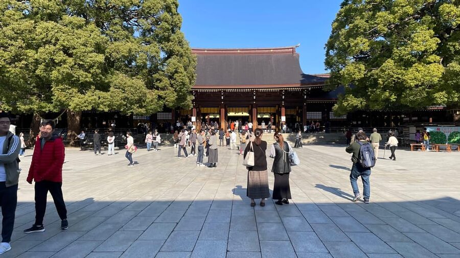 Awesome Private Tour: Tsukiji, Asakusa, Shinjuku, Shibuya - Akihabara and Ueno suit different interests