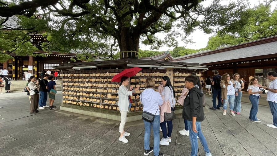 Awesome Private Tour: Tsukiji, Asakusa, Shinjuku, Shibuya - Shinjuku finishes with narrow lanes and late-night character