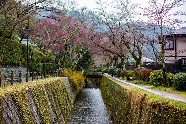 Back Roads of Japan by G Adventures - 11-Day Tokyo to Kyoto Tour Review - Who should book this route?