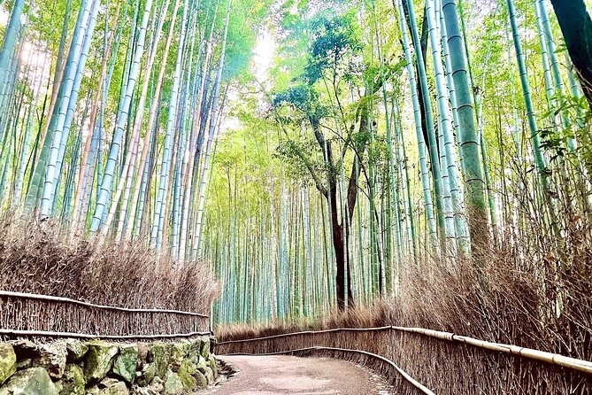 Bamboo Grove Temple and Garden Views Tour - Key points to know before booking