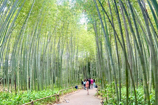Bamboo Grove Temple and Garden Views Tour - Starting at Kyoto Station at 8:30 a.m.