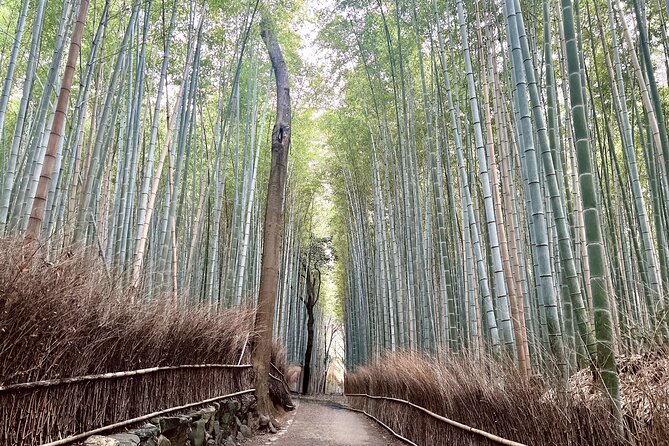 Bamboo Grove Temple and Garden Views Tour - Walking through the Arashiyama Bamboo Forest
