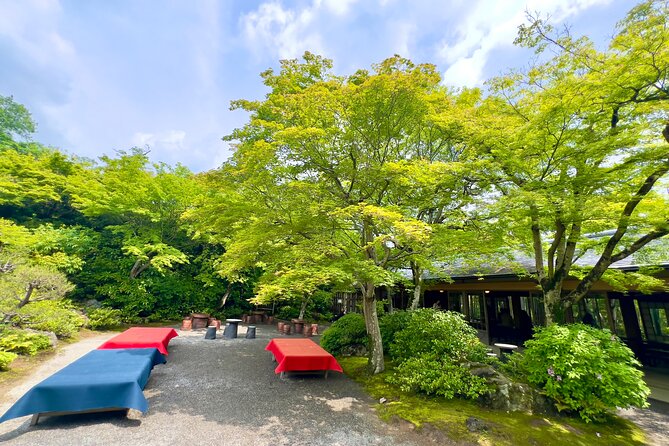 Bamboo Grove Temple and Garden Views Tour - Okochi Sanso Garden and Kyoto views