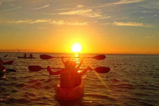 Beautiful sunset kayak tour in Okinawa - Who Should Book This Kayak Tour?