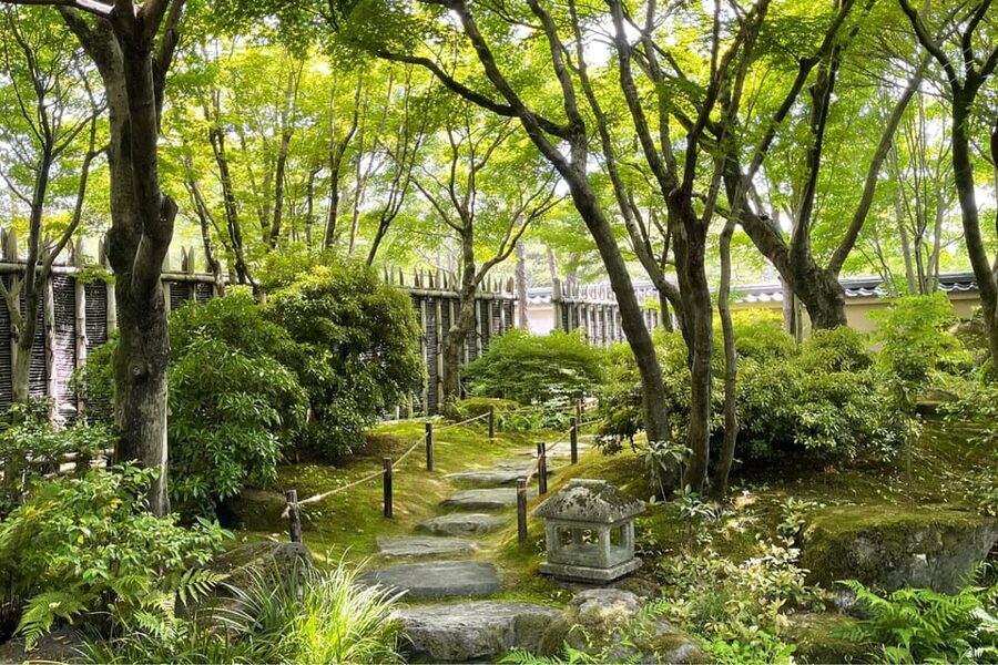 Best of Himeji Castle: 3hr Tour with Licensed Guide - Should you book the tour?
