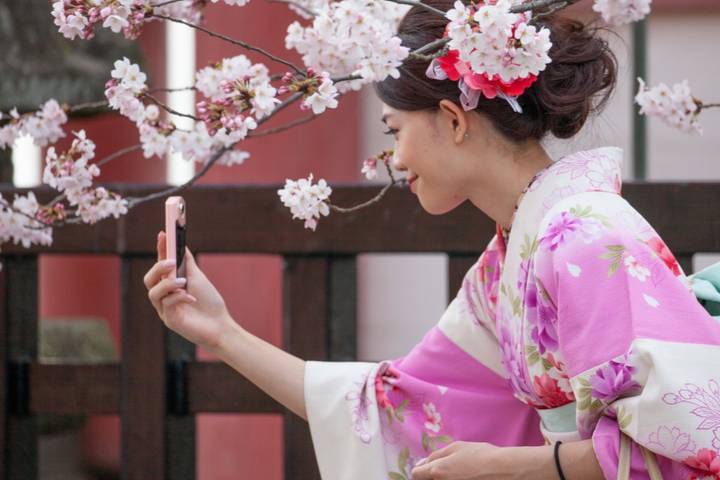 Best of Japan: Tokyo to Osaka by Odynovo - 9-Day Tour Review - Five things to know before you book