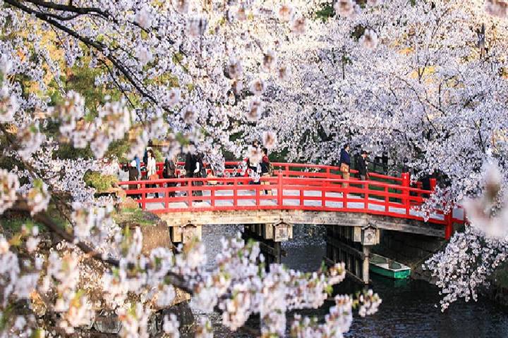 Best of Japan: Tokyo to Osaka by Odynovo - 9-Day Tour Review - A well-paced route, with a few independent stretches
