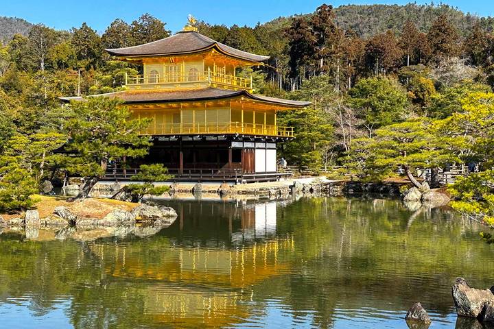 Best of Japan: Tokyo to Osaka by Odynovo - 9-Day Tour Review - Chureito Pagoda and the Fuji day trip