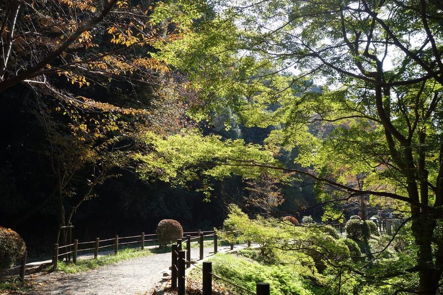Best of Kyoto: Ginkakuji & Path of Philosophy E-Bike Tour - Key points at a glance
