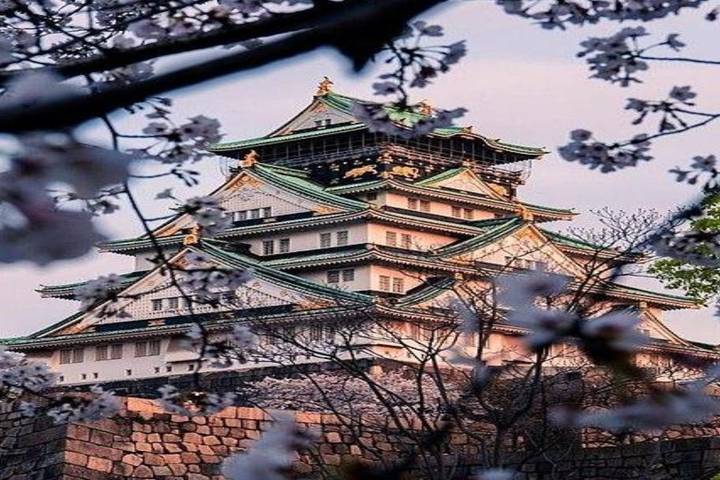 Best of Osaka, Kyoto and Hiroshima 6 Days by Vio Travel Review - Day 2: Osaka’s castle, market and temple on foot