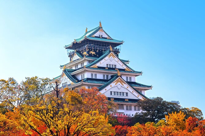 Best Private Osaka Walking Tour With A Guide 100% Personalised - Key points to know before booking