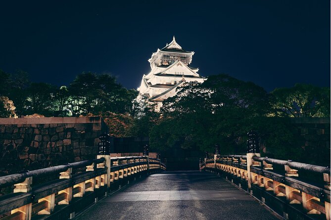 Best Private Osaka Walking Tour With A Guide 100% Personalised - Why a private Osaka walk can be useful