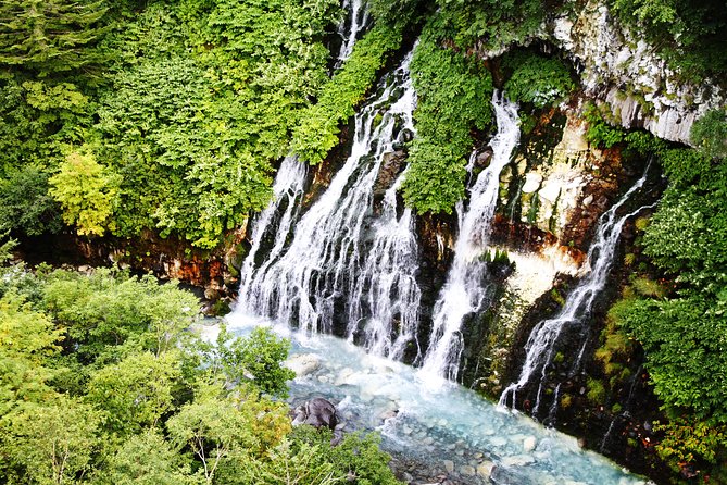 [Biei/Furano] One-day sightseeing by private car! - Why this private day trip makes sense from Sapporo