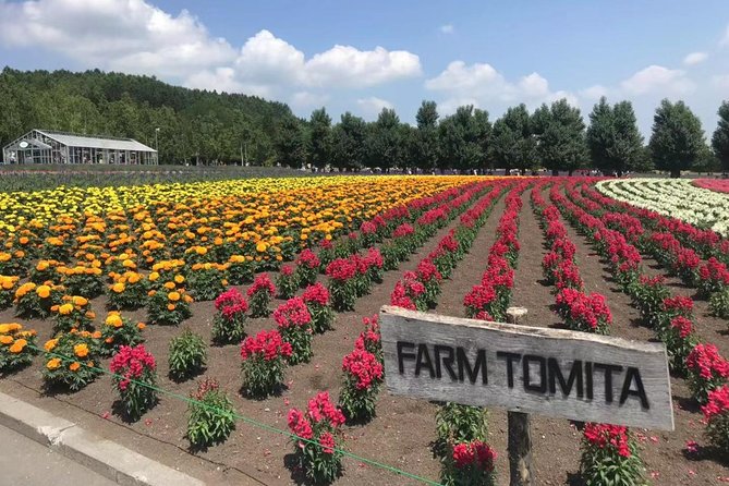 [Biei/Furano] One-day sightseeing by private car! - Furano Marche: A practical lunch stop