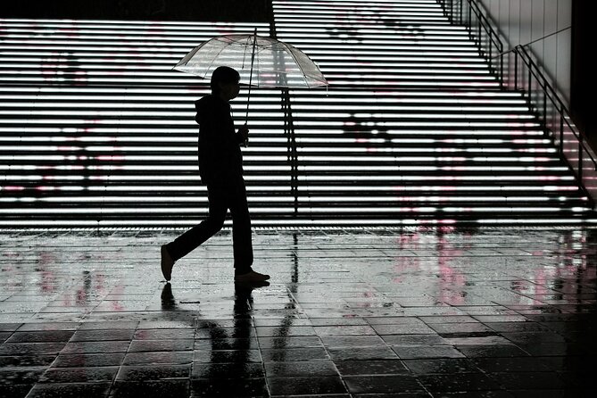 Blade Runner photo workshop in Shibuya with Laurence Bouchard - Is $97.98 fair for two hours?