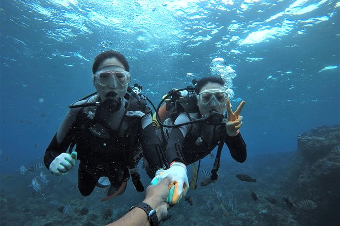 Blue Cave Area Experience Diving!Free feeding & photo images Chinese guide available!1 group with a dedicated instructor - Key points to know before booking