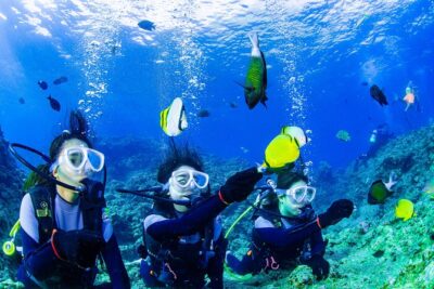 Blue Cave Introductory Dive–Private Guide, Boat Tour&Free Photos