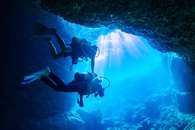 Blue Cave Introductory Dive–Private Guide, Boat Tour&Free Photos - Photos, fish feeding, and the useful extras